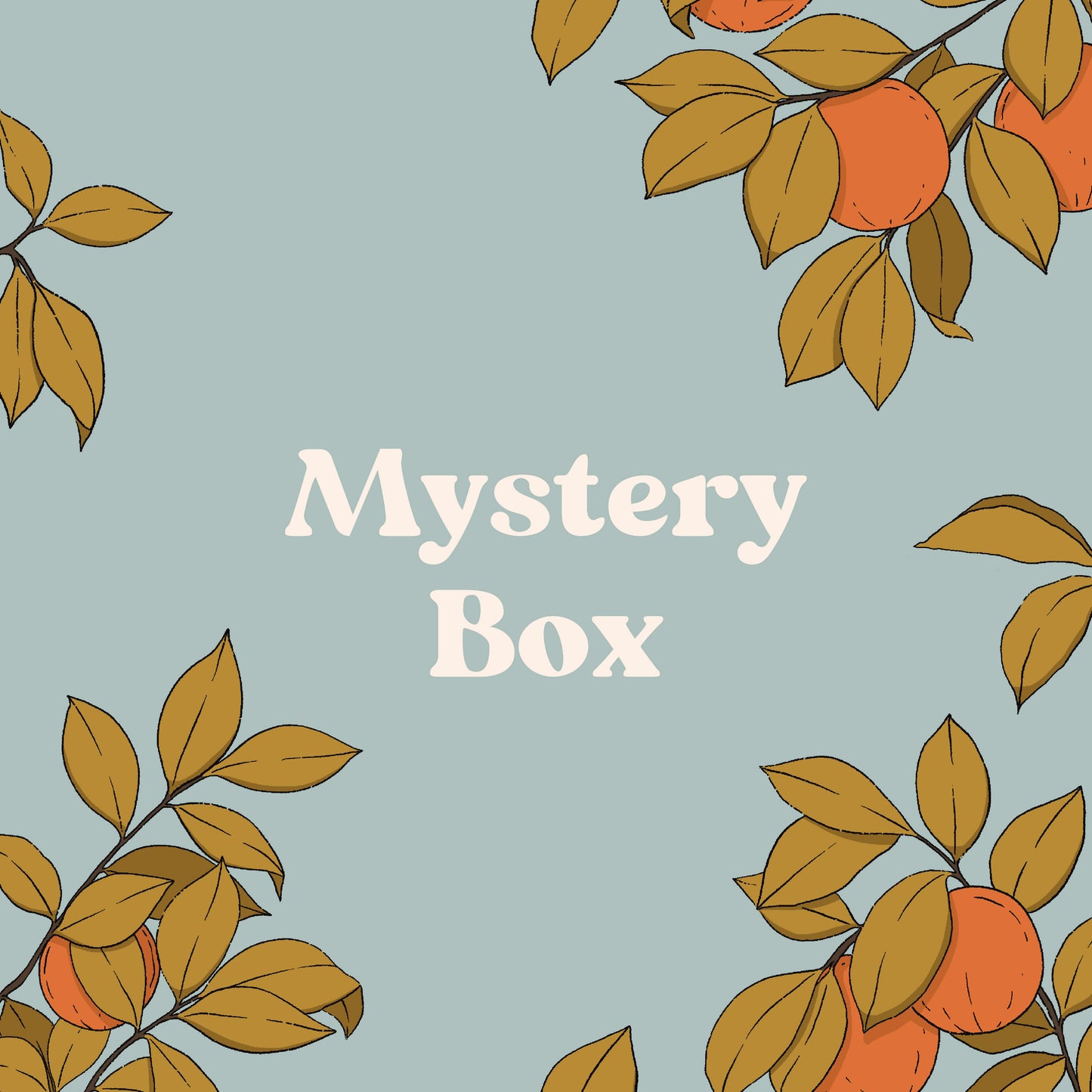 Mystery Box