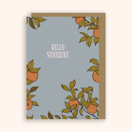 Greeting card with 'Hello Sunshine' text and apricot fruit illustrations on a light blue background.